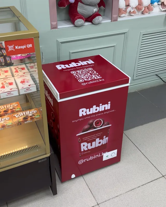 Ойыншық дүкеніндегі Rubini мұздатқышы