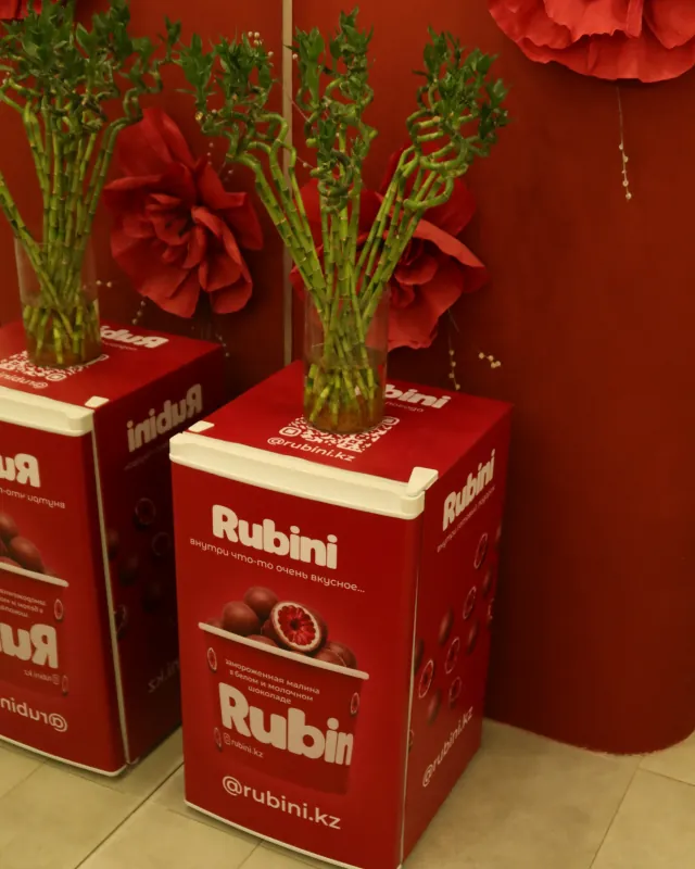 Гүл шоқтары бар екі Rubini мұздатқышы
